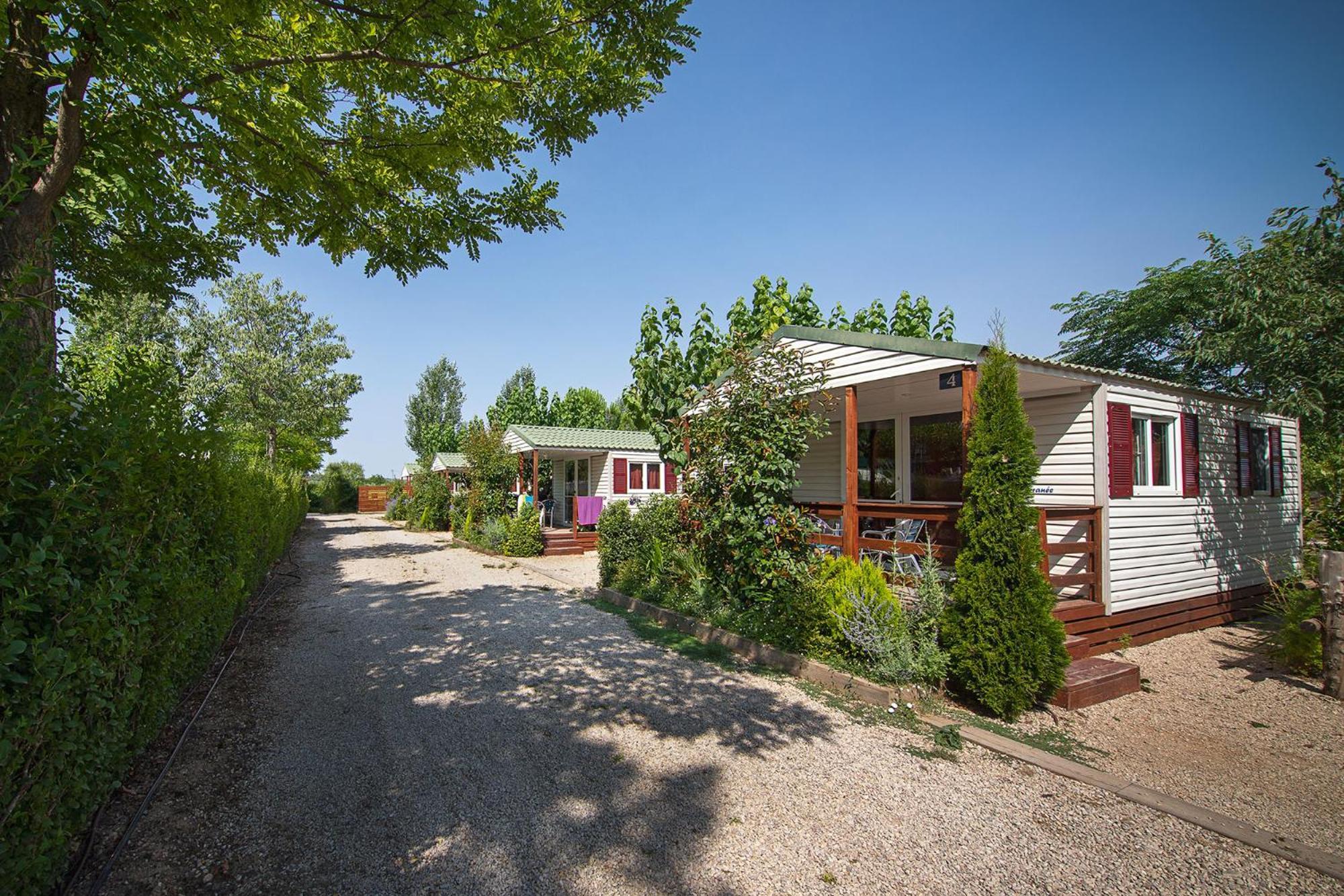 Camping Els Ports Arnes Exterior foto