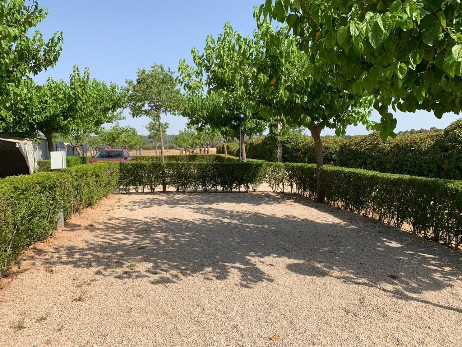Camping Els Ports Arnes Exterior foto