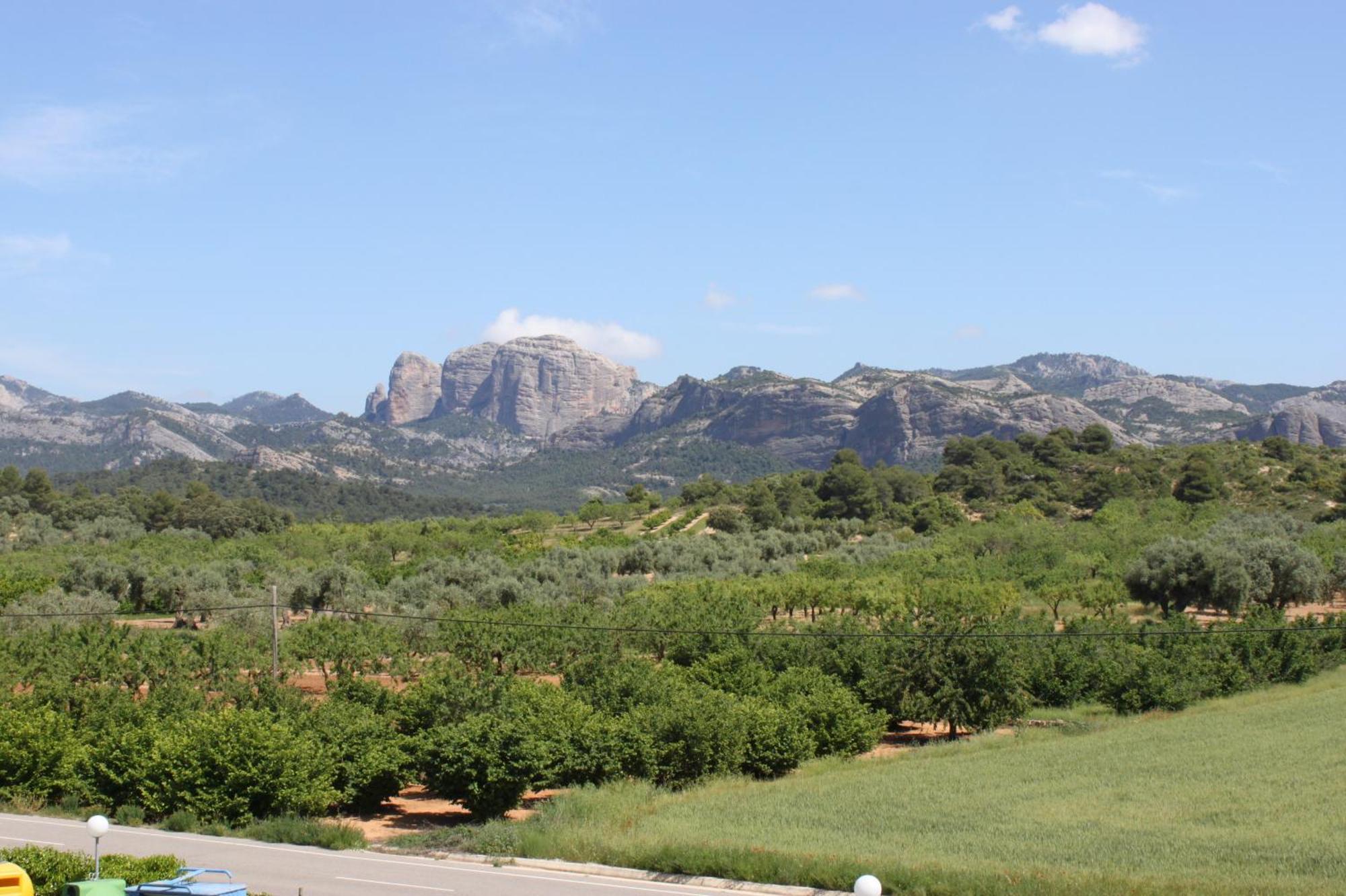 Camping Els Ports Arnes Exterior foto